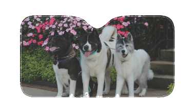 Custom Car Shade 1 Piece - WagALotBowWow