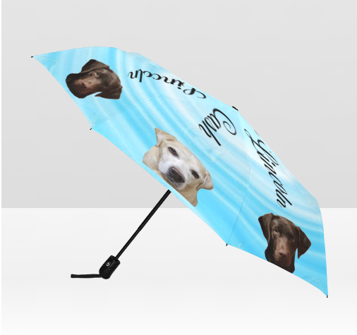 Custom Umbrella - WagALotBowWow