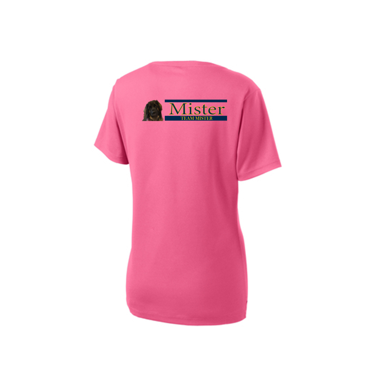 Orlando Shirt2 LST340 Sport-Tek® Ladies V - WagALotBowWow