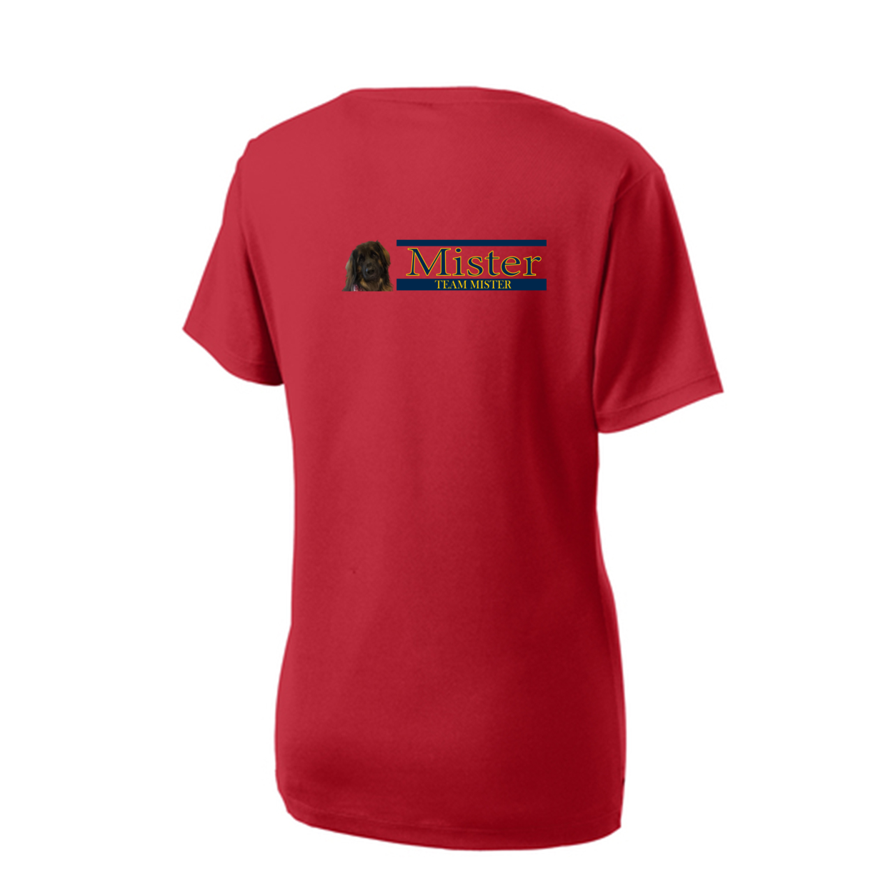 Orlando Shirt2 LST340 Sport-Tek® Ladies V - WagALotBowWow