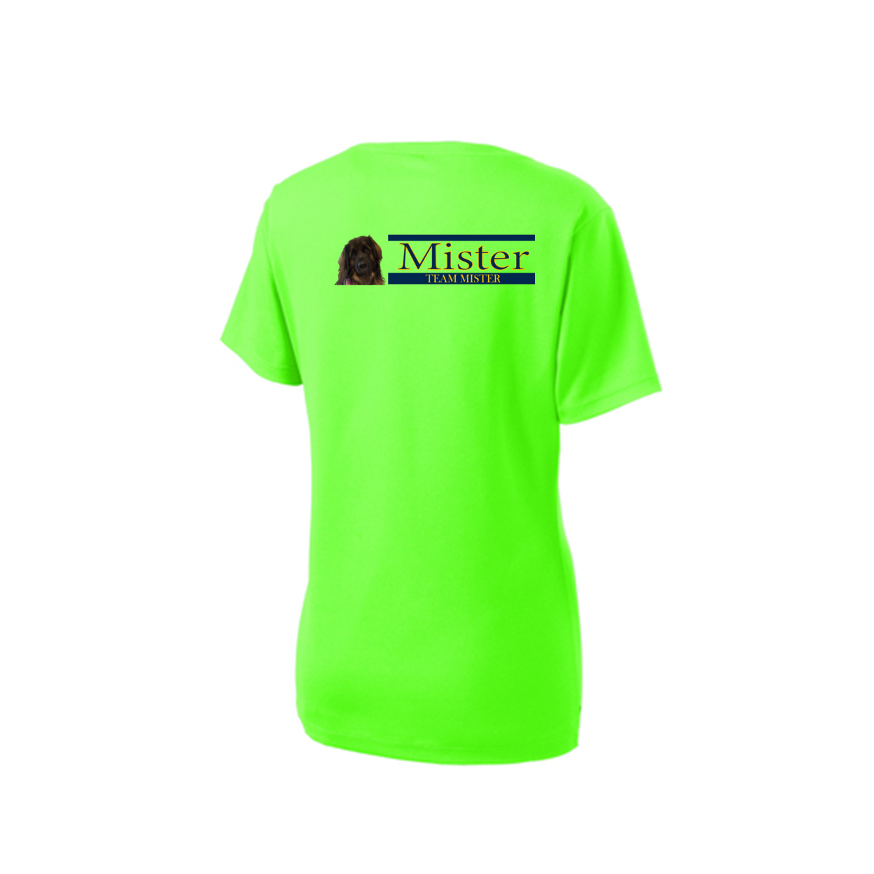 Orlando Shirt2 LST340 Sport-Tek® Ladies V - WagALotBowWow