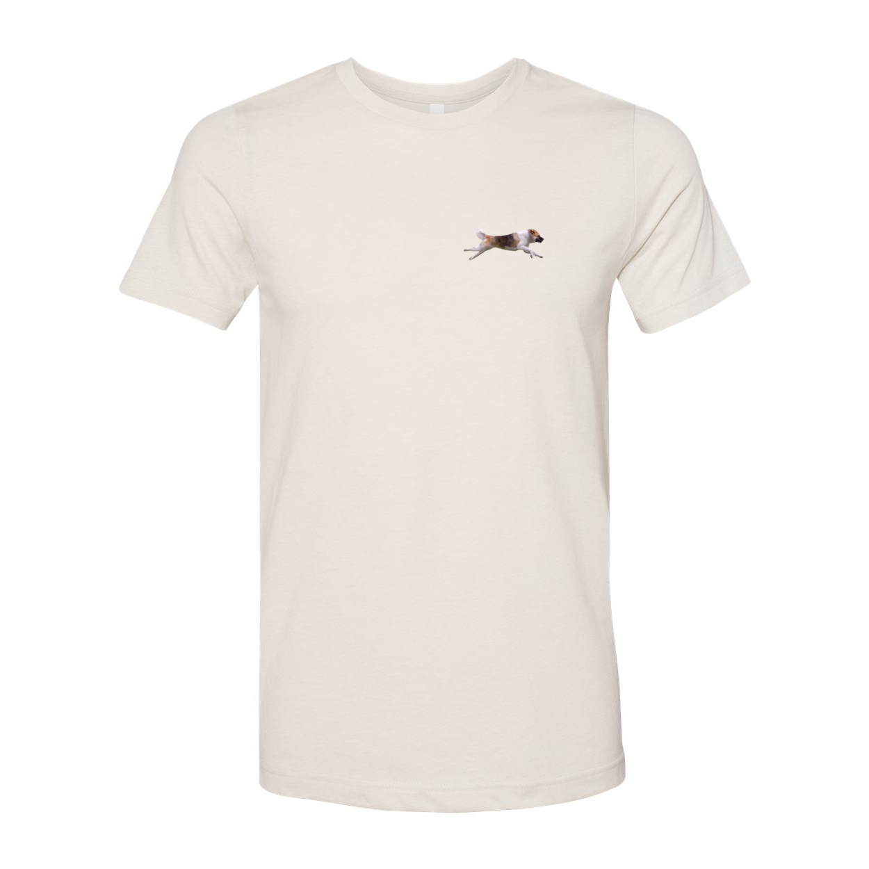 Akita Blaze of Scent 2 - WagALotBowWow