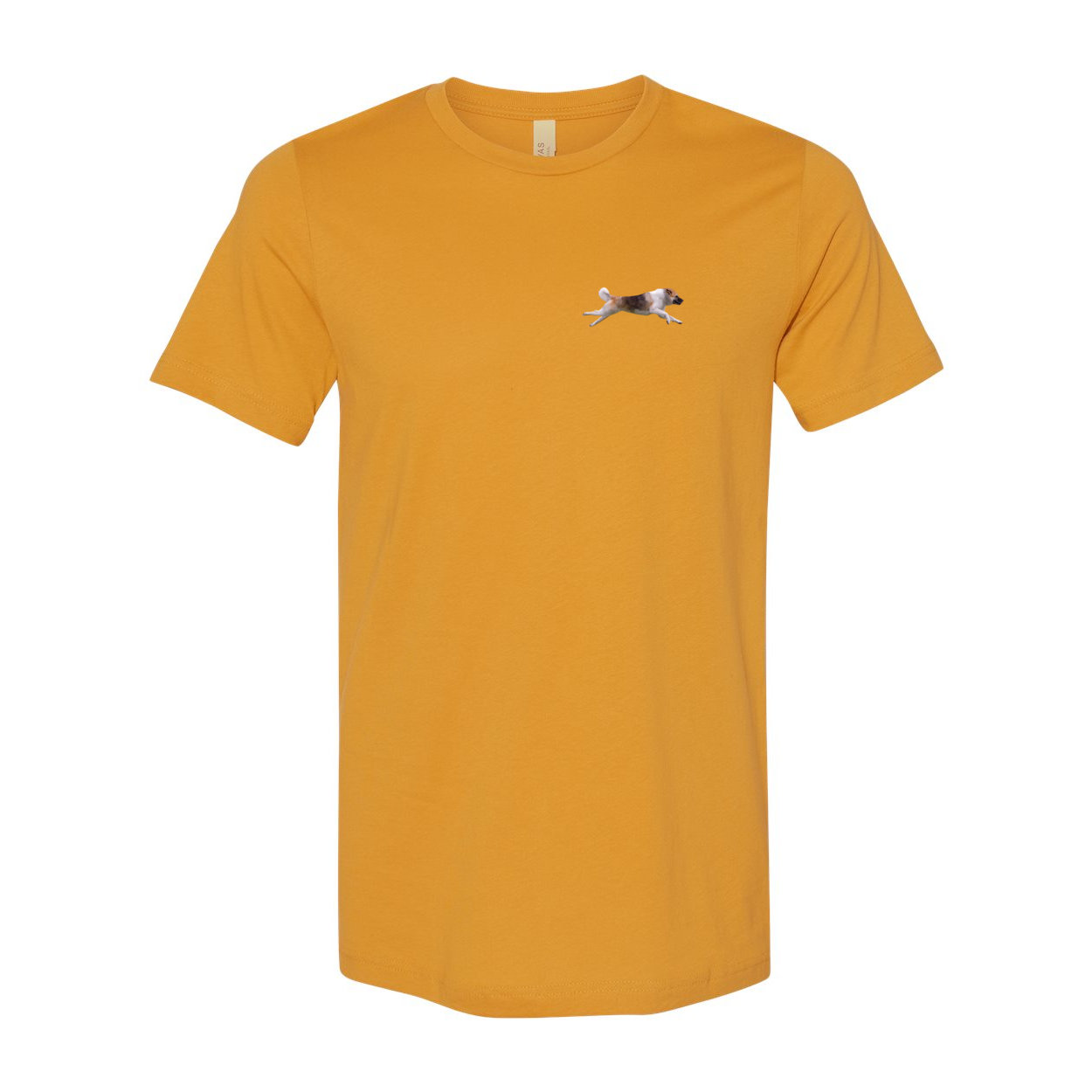 Akita Blaze of Scent 2 - WagALotBowWow