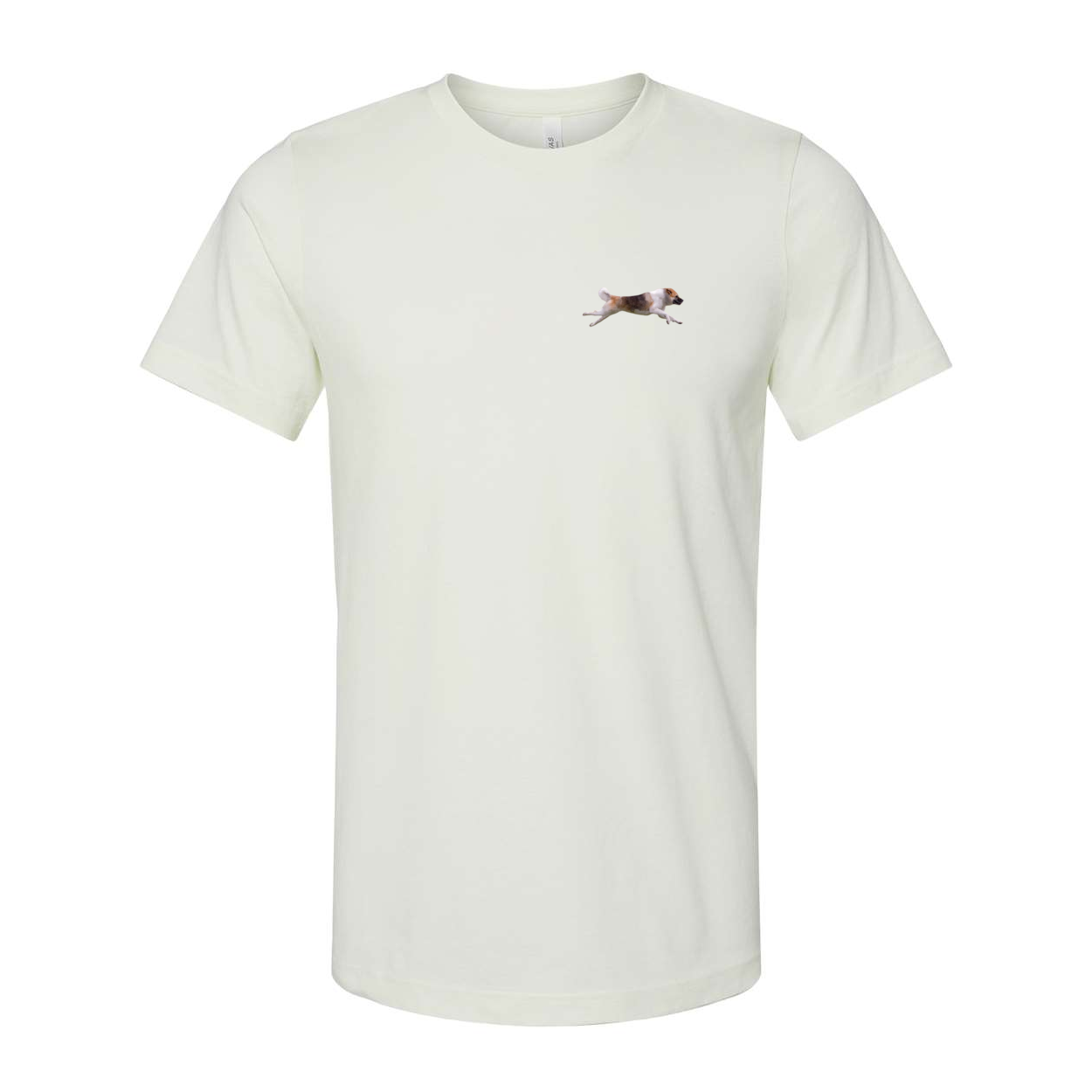 Akita Blaze of Scent 2 - WagALotBowWow