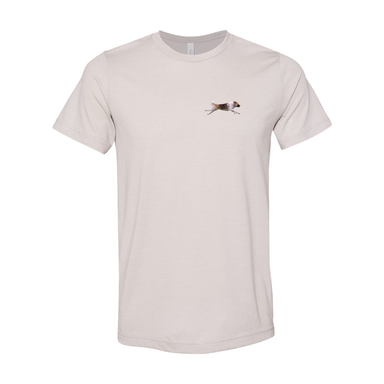 Akita Blaze of Scent 2 - WagALotBowWow