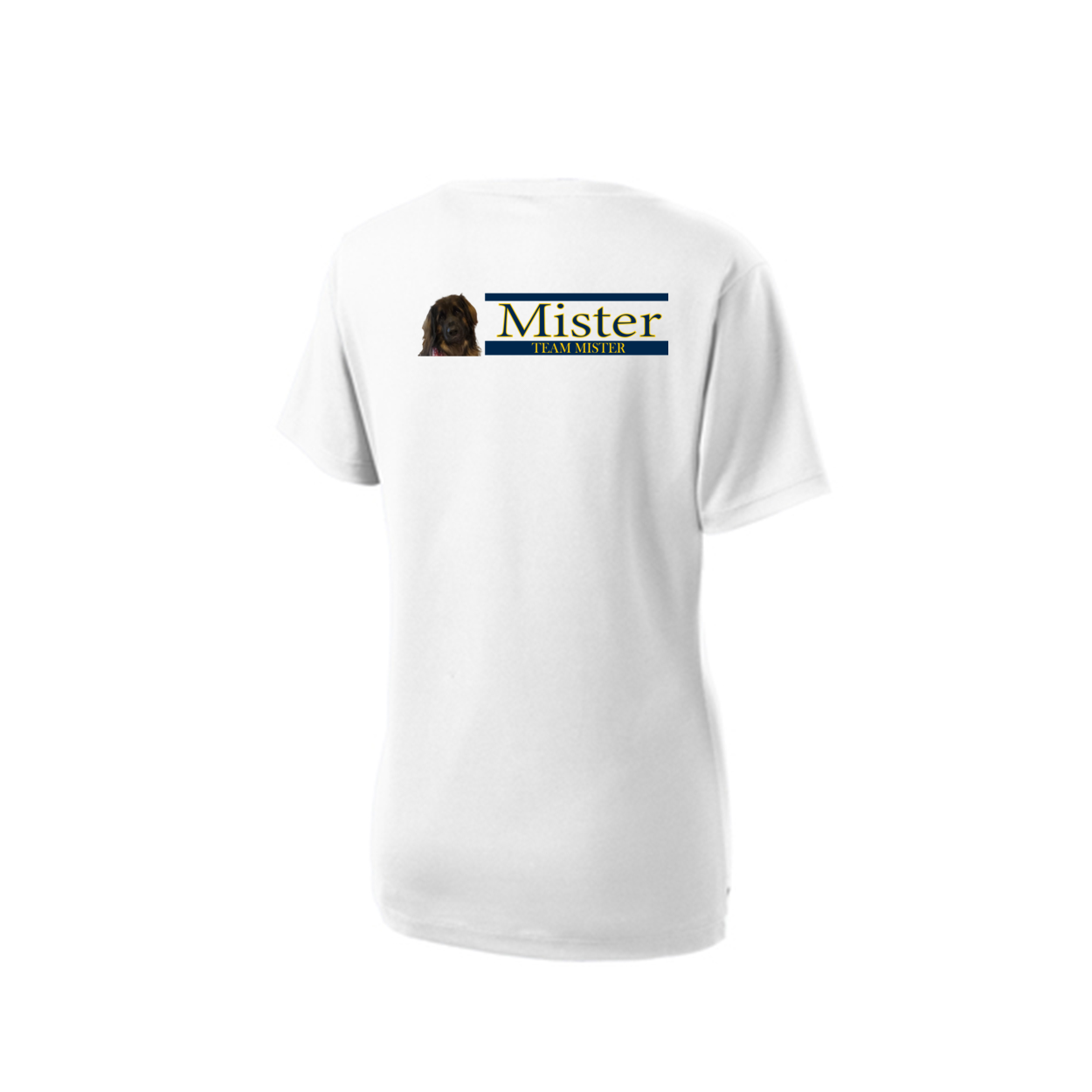 Orlando Shirt2 LST340 Sport-Tek® Ladies V - WagALotBowWow