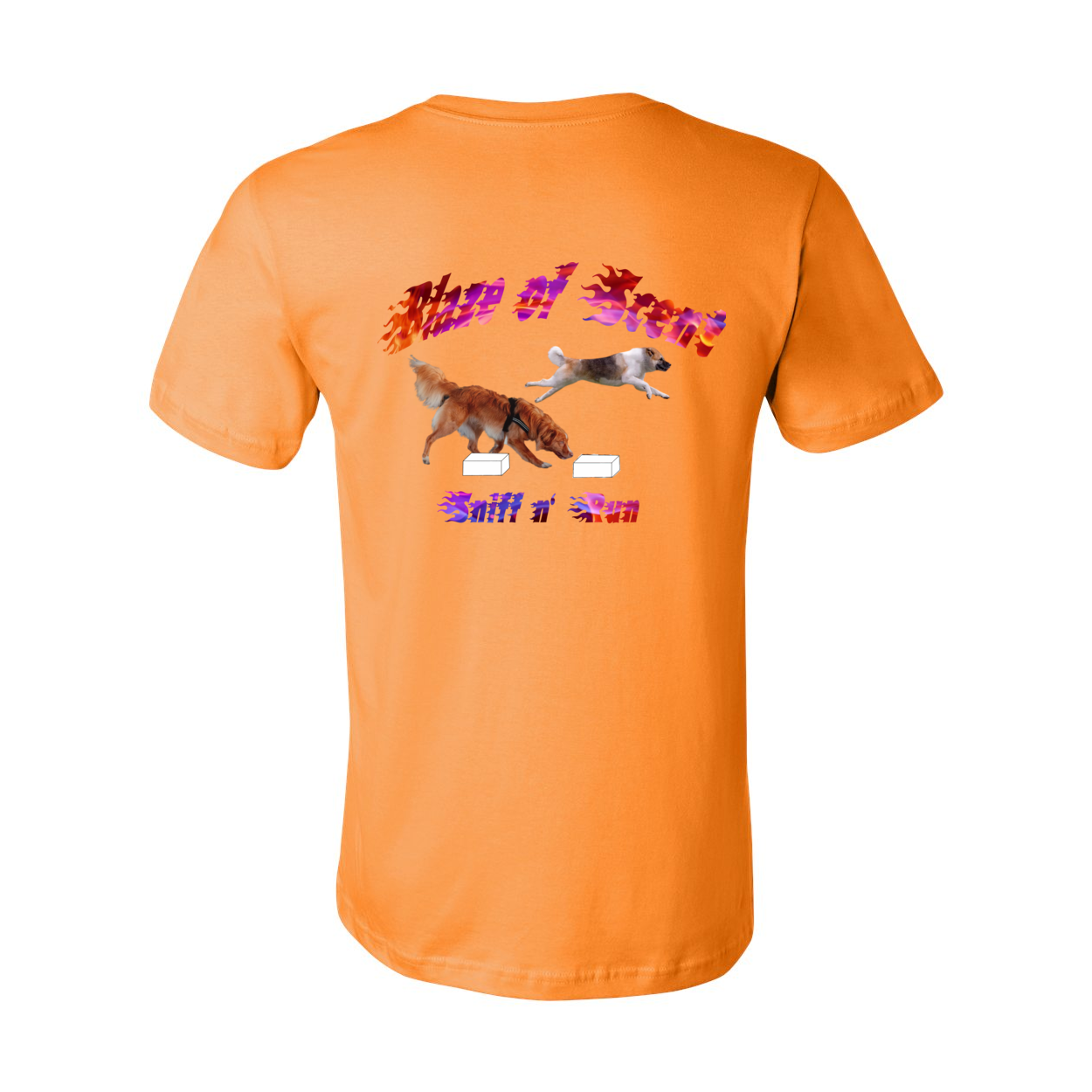 Akita Blaze of Scent 2 - WagALotBowWow