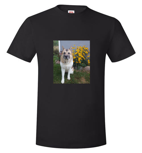 Hoshi Black Shirt - WagALotBowWow