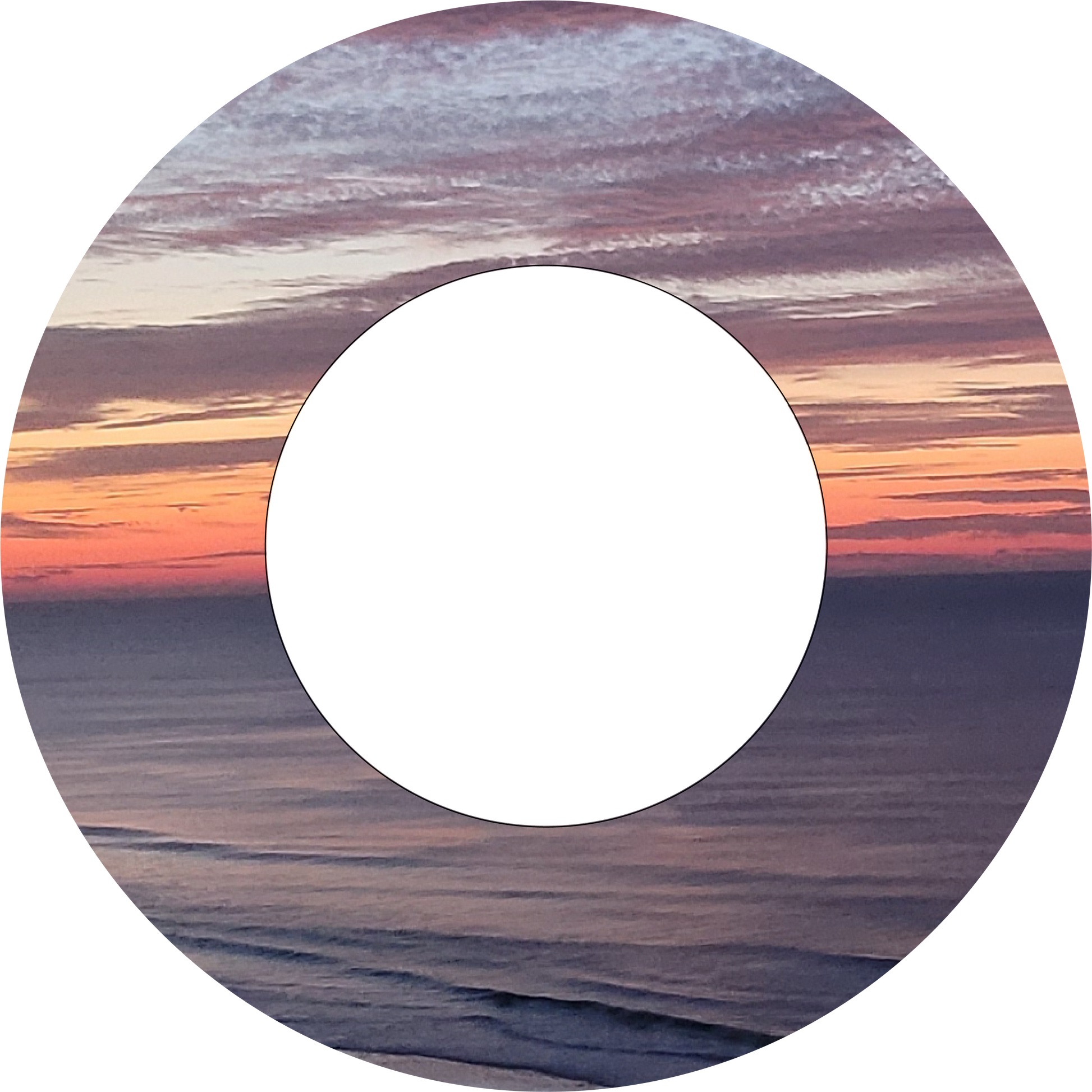 Custom Photo Wind Spinner - WagALotBowWow