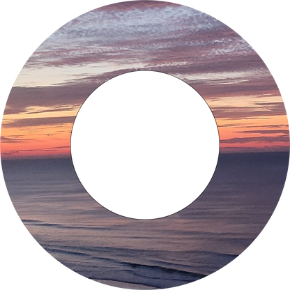 Custom Photo Wind Spinner - WagALotBowWow