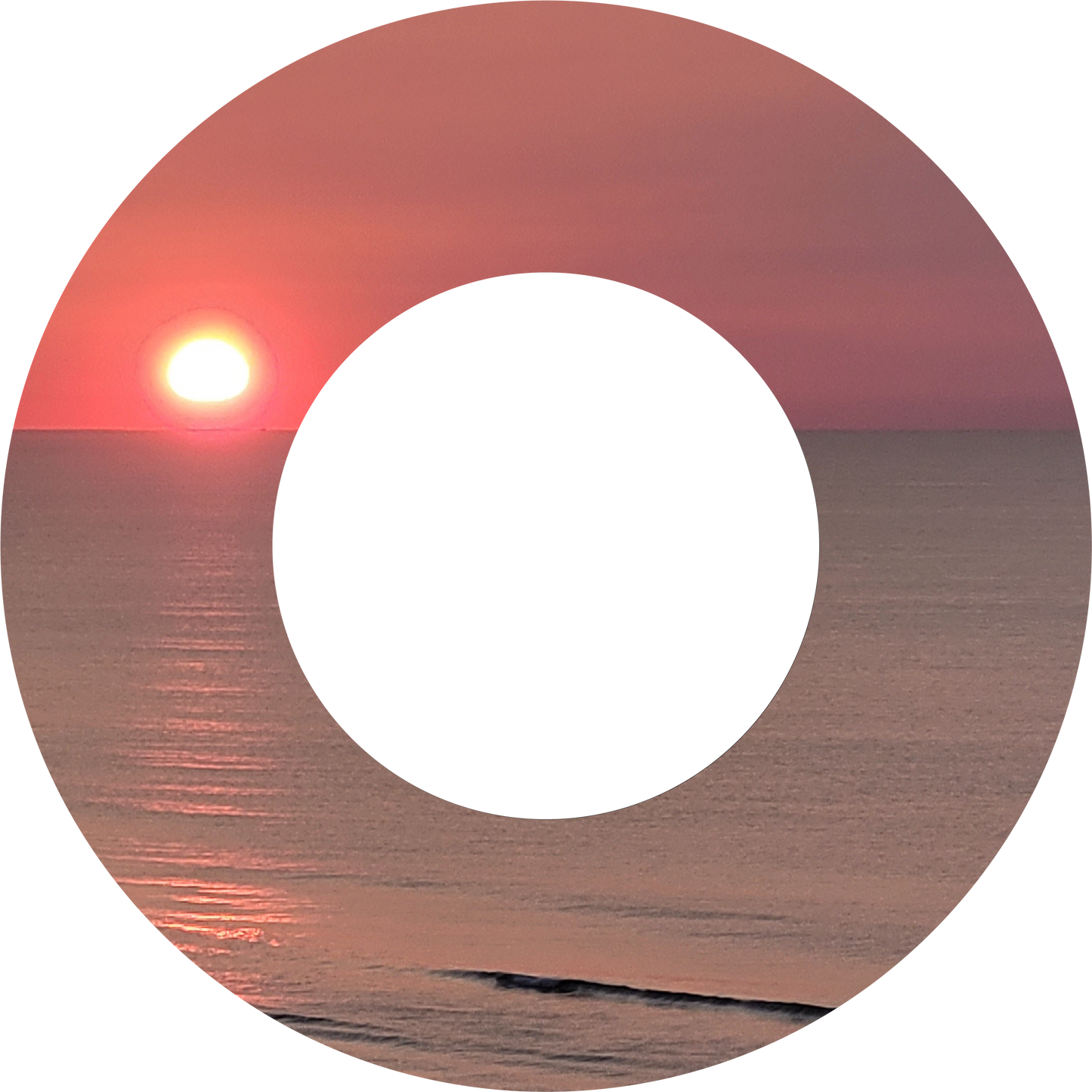 Custom Photo Wind Spinner - WagALotBowWow