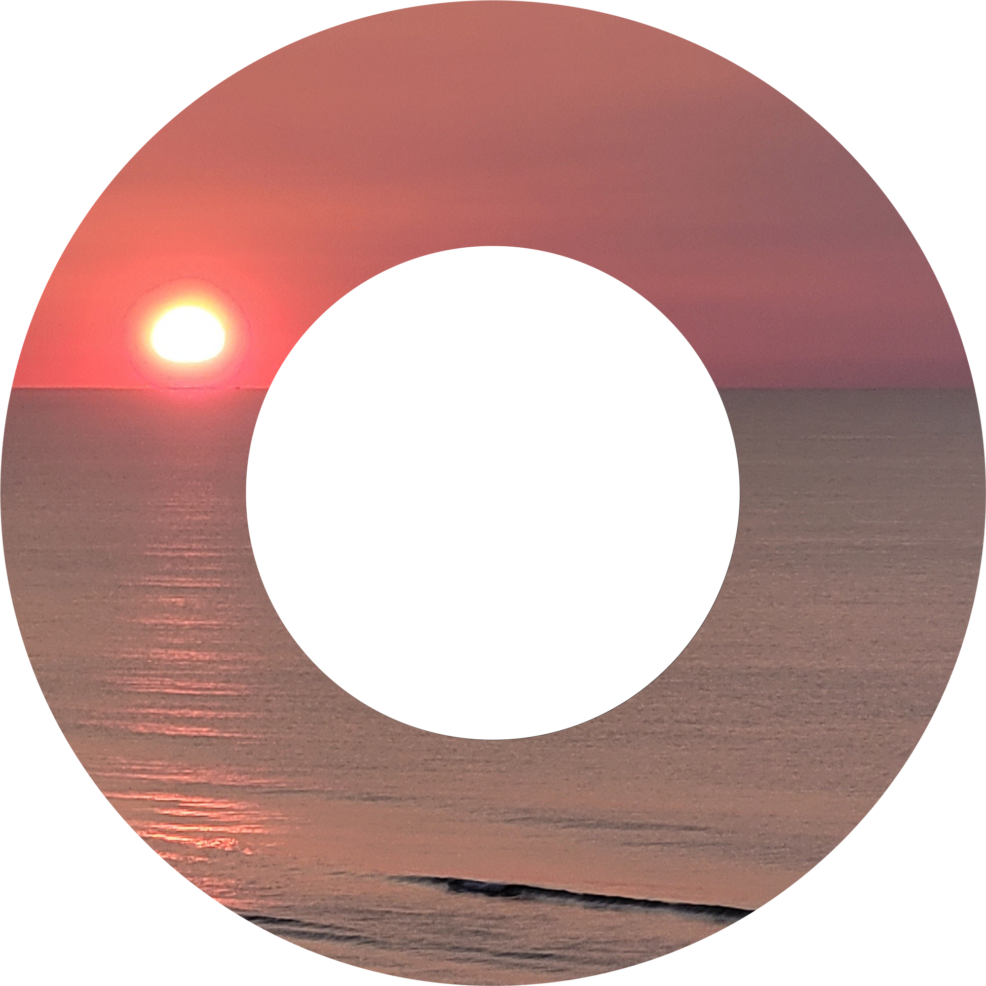 Custom Photo Wind Spinner - WagALotBowWow