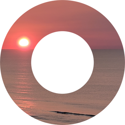 Custom Photo Wind Spinner - WagALotBowWow