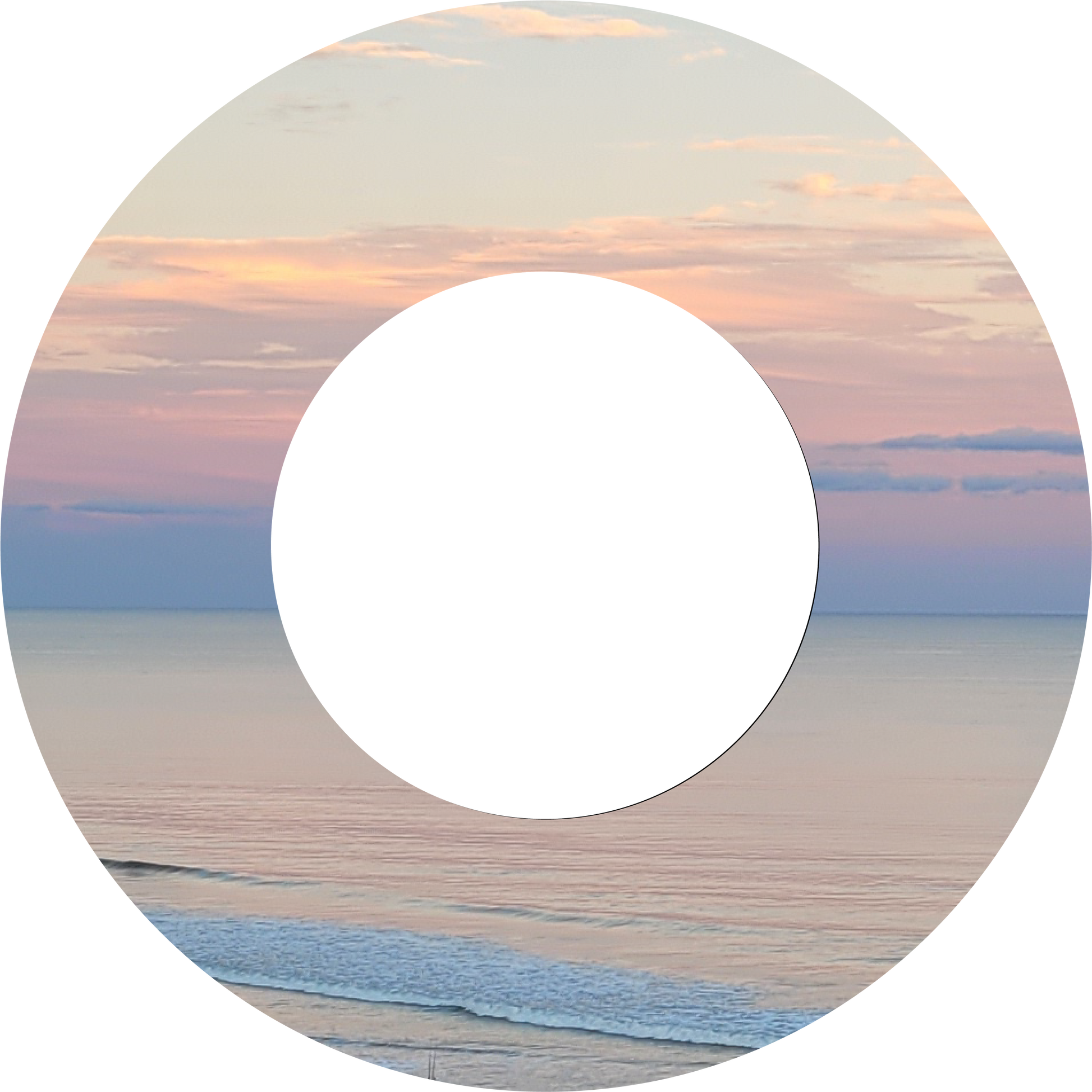 Custom Photo Wind Spinner - WagALotBowWow