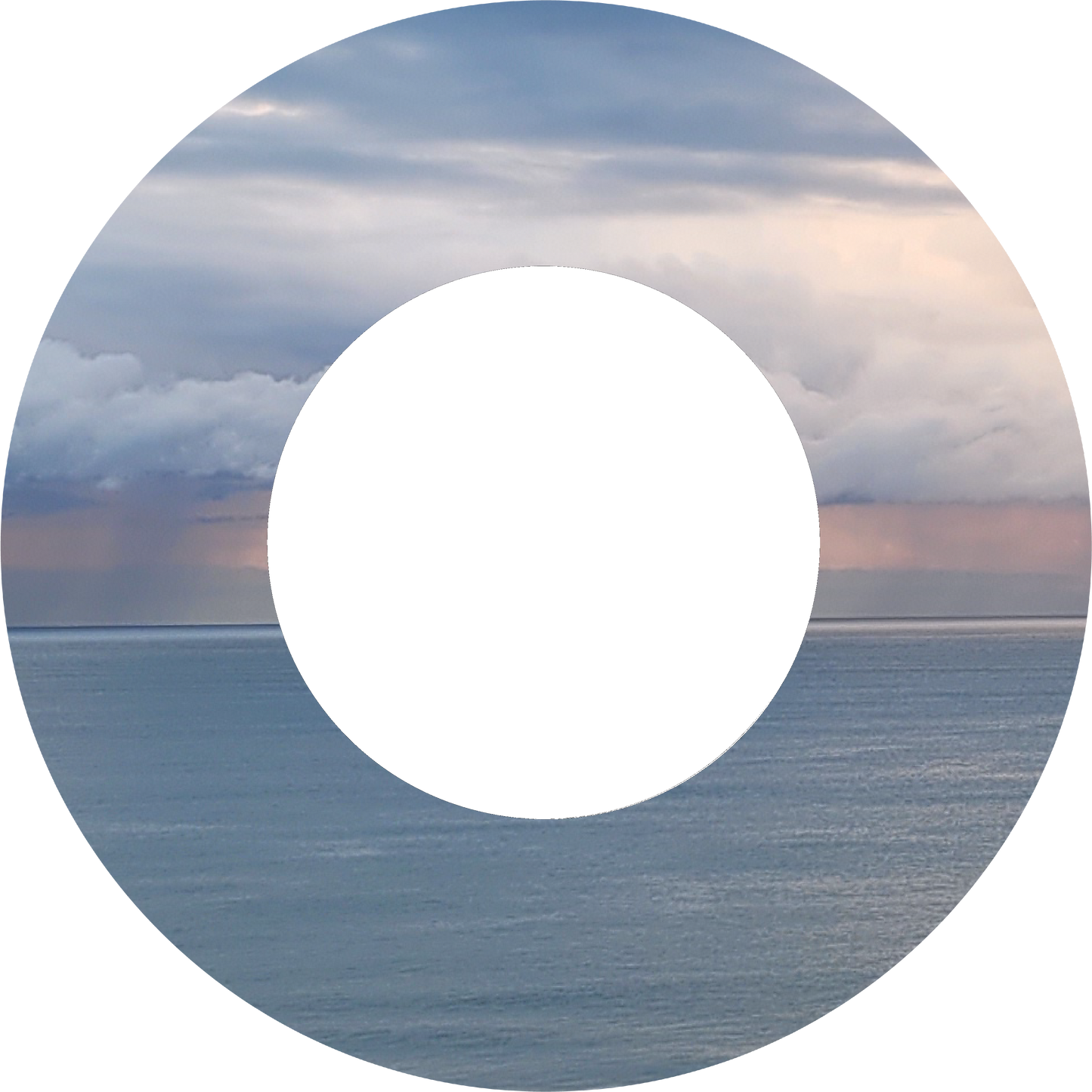 Custom Photo Wind Spinner - WagALotBowWow