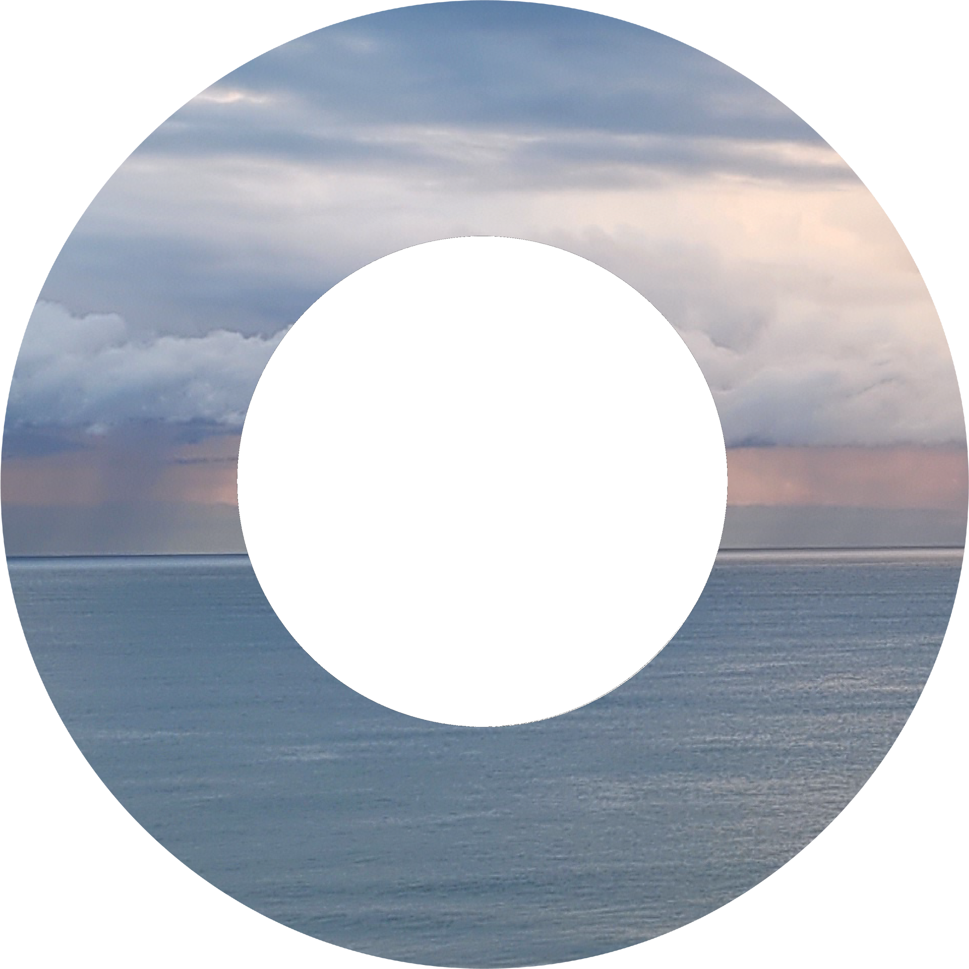 Custom Photo Wind Spinner - WagALotBowWow