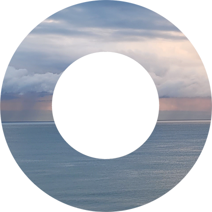 Custom Photo Wind Spinner - WagALotBowWow